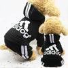 Adidog Dog Hoodie